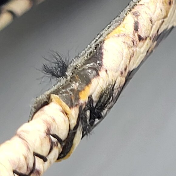 ZARA Snake Print Slingback Flats - Picture 7 of 11